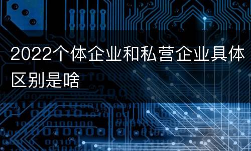 2022个体企业和私营企业具体区别是啥