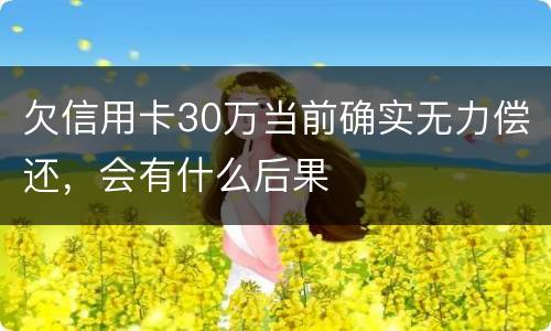 欠信用卡30万当前确实无力偿还，会有什么后果