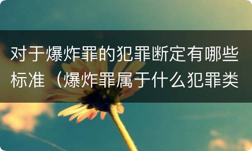 对于爆炸罪的犯罪断定有哪些标准（爆炸罪属于什么犯罪类型）