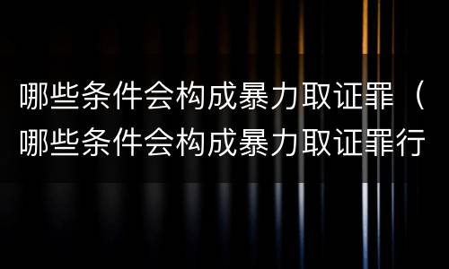 哪些条件会构成暴力取证罪（哪些条件会构成暴力取证罪行）