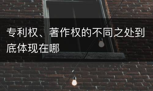 专利权、著作权的不同之处到底体现在哪