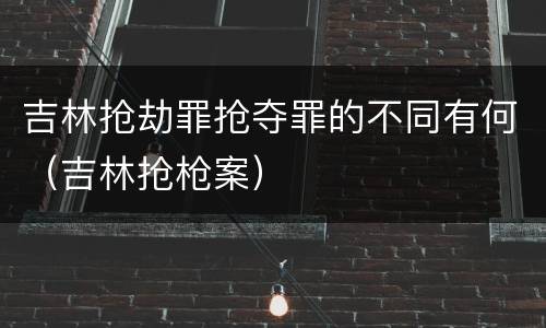 吉林抢劫罪抢夺罪的不同有何（吉林抢枪案）