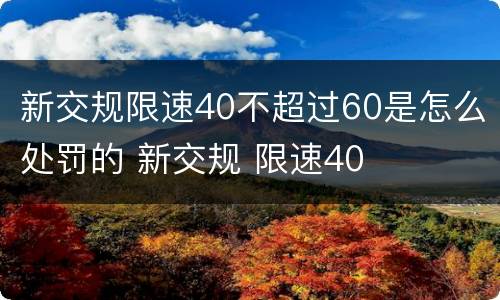 新交规限速40不超过60是怎么处罚的 新交规 限速40