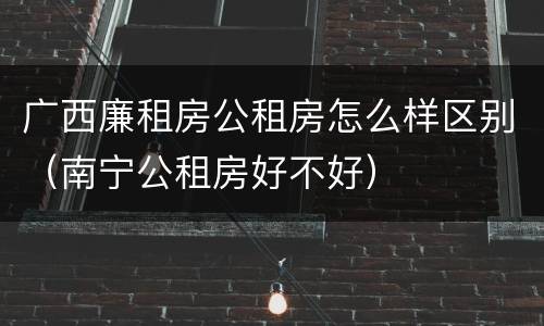 广西廉租房公租房怎么样区别（南宁公租房好不好）