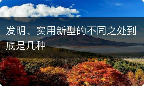 发明、实用新型的不同之处到底是几种