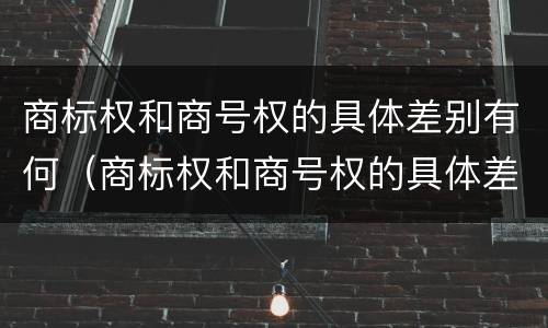 商标权和商号权的具体差别有何（商标权和商号权的具体差别有何特点）