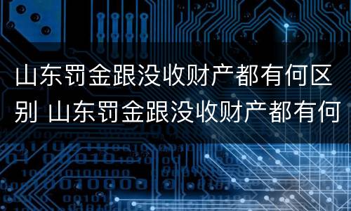 山东罚金跟没收财产都有何区别 山东罚金跟没收财产都有何区别呢