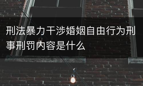 刑法暴力干涉婚姻自由行为刑事刑罚内容是什么