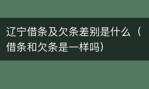 辽宁借条及欠条差别是什么（借条和欠条是一样吗）