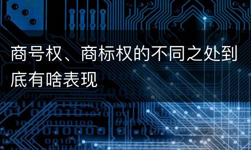 商号权、商标权的不同之处到底有啥表现