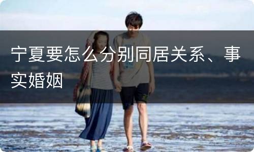 宁夏要怎么分别同居关系、事实婚姻