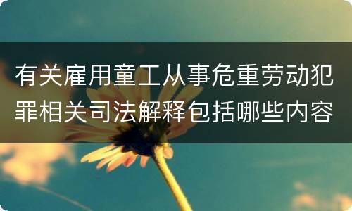 有关雇用童工从事危重劳动犯罪相关司法解释包括哪些内容