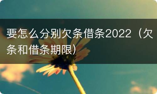 要怎么分别欠条借条2022（欠条和借条期限）