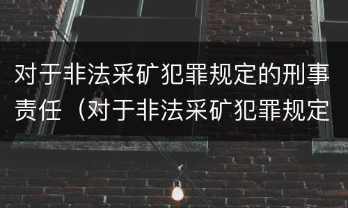 对于非法采矿犯罪规定的刑事责任（对于非法采矿犯罪规定的刑事责任是）