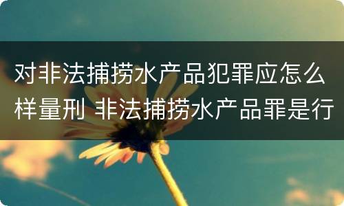 对非法捕捞水产品犯罪应怎么样量刑 非法捕捞水产品罪是行为犯吗