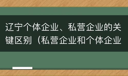 辽宁个体企业、私营企业的关键区别（私营企业和个体企业的区别）