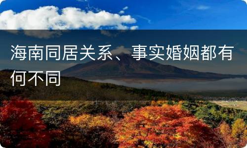 海南同居关系、事实婚姻都有何不同