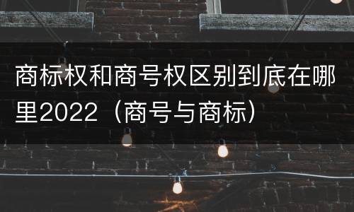 商标权和商号权区别到底在哪里2022（商号与商标）