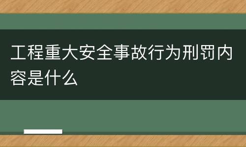 工程重大安全事故行为刑罚内容是什么