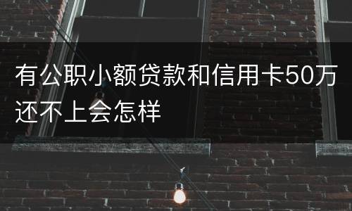 有公职小额贷款和信用卡50万还不上会怎样