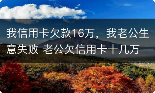 我信用卡欠款16万，我老公生意失败 老公欠信用卡十几万