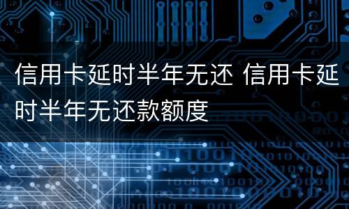 信用卡延时半年无还 信用卡延时半年无还款额度