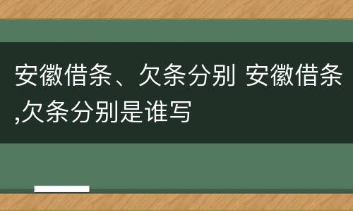 安徽借条、欠条分别 安徽借条,欠条分别是谁写