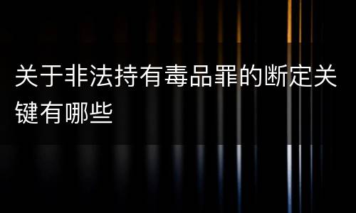 关于非法持有毒品罪的断定关键有哪些