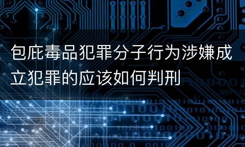 包庇毒品犯罪分子行为涉嫌成立犯罪的应该如何判刑