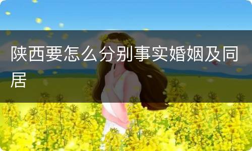 陕西要怎么分别事实婚姻及同居