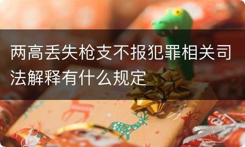 两高丢失枪支不报犯罪相关司法解释有什么规定