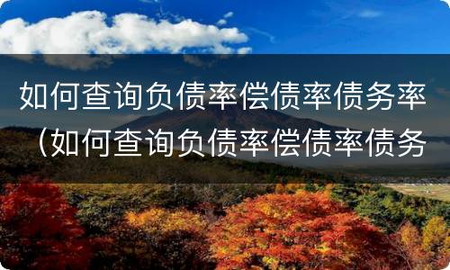 如何查询负债率偿债率债务率（如何查询负债率偿债率债务率信息）