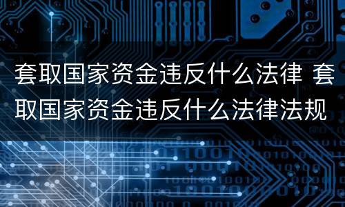 套取国家资金违反什么法律 套取国家资金违反什么法律法规