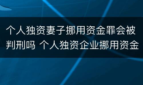 个人独资妻子挪用资金罪会被判刑吗 个人独资企业挪用资金 判例