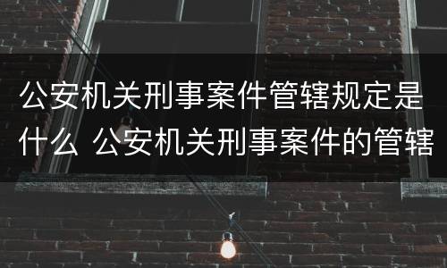 公安机关刑事案件管辖规定是什么 公安机关刑事案件的管辖规定