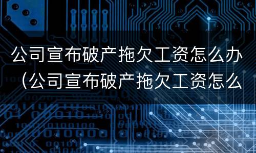 公司宣布破产拖欠工资怎么办（公司宣布破产拖欠工资怎么办理）