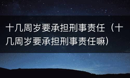 十几周岁要承担刑事责任（十几周岁要承担刑事责任嘛）