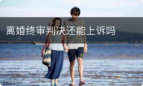 离婚终审判决还能上诉吗