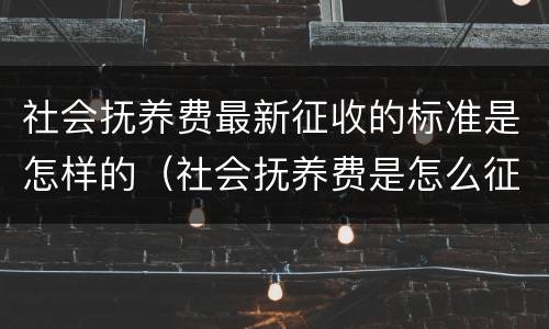 社会抚养费最新征收的标准是怎样的（社会抚养费是怎么征收的）