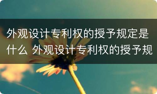 外观设计专利权的授予规定是什么 外观设计专利权的授予规定是什么意思