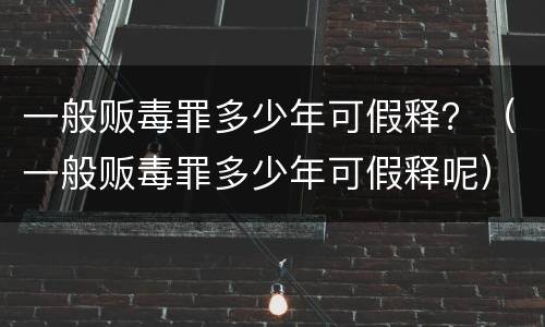 一般贩毒罪多少年可假释？（一般贩毒罪多少年可假释呢）