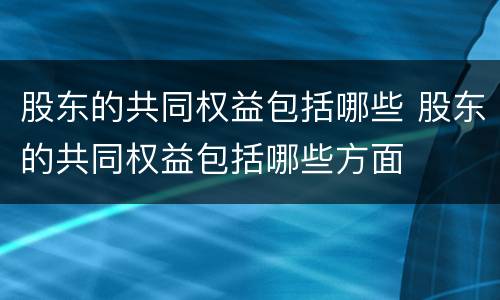 股东的共同权益包括哪些 股东的共同权益包括哪些方面