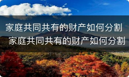 家庭共同共有的财产如何分割 家庭共同共有的财产如何分割出来