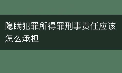 隐瞒犯罪所得罪刑事责任应该怎么承担