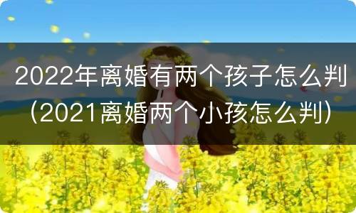 2022年离婚有两个孩子怎么判（2021离婚两个小孩怎么判）