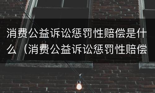 消费公益诉讼惩罚性赔偿是什么（消费公益诉讼惩罚性赔偿是什么意思）