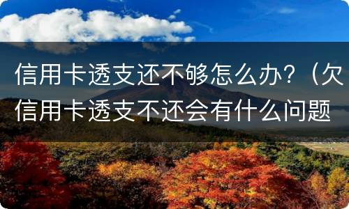 信用卡透支还不够怎么办?（欠信用卡透支不还会有什么问题）