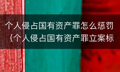 个人侵占国有资产罪怎么惩罚（个人侵占国有资产罪立案标准）