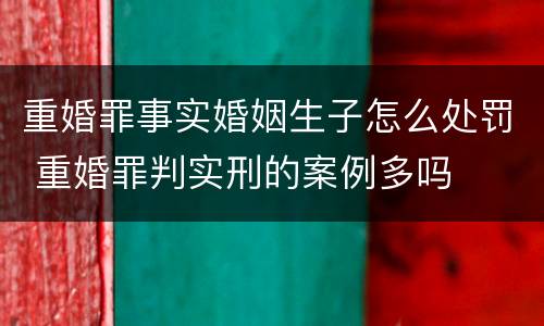 重婚罪事实婚姻生子怎么处罚 重婚罪判实刑的案例多吗