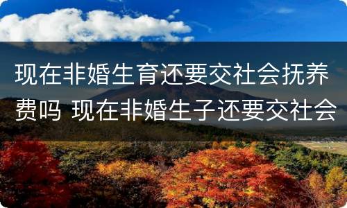 现在非婚生育还要交社会抚养费吗 现在非婚生子还要交社会抚养费吗